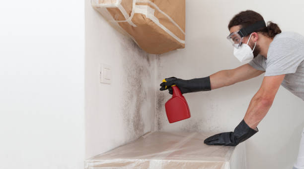 Professional Attic Mold Remediation technician working in Washington, NC