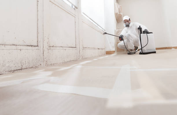 24/7 Emergency Attic Mold Remediation experts in Washington, NC